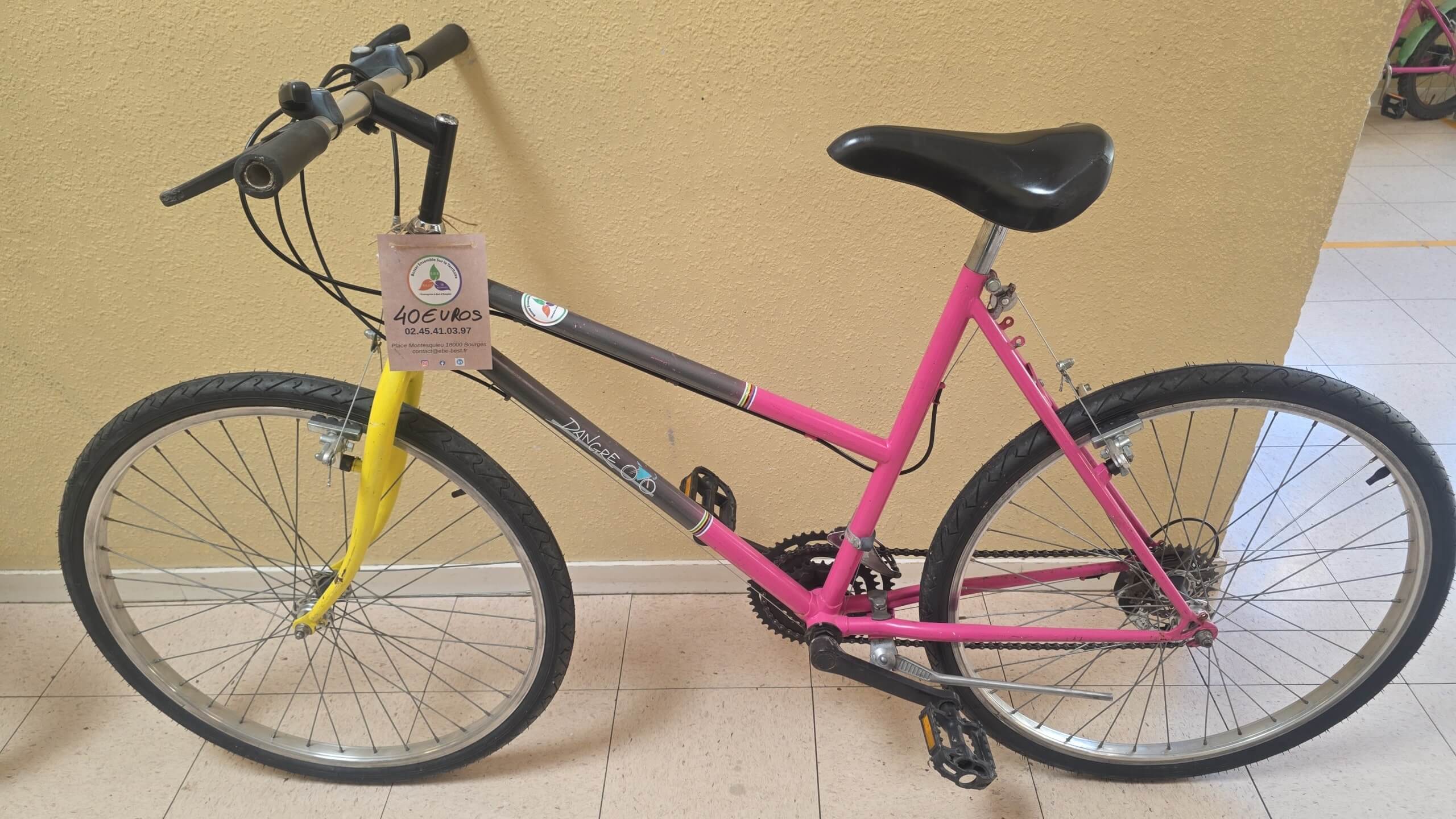 dangre rose .13. min